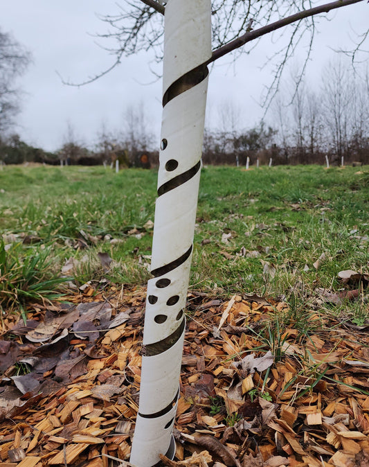  TREE Guards 24 Inch