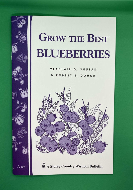  Grow The Best Blueberries