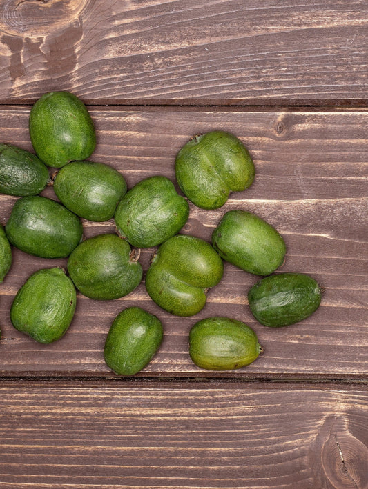  Chang Bai Hardy Kiwi
