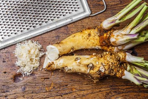  Horseradish